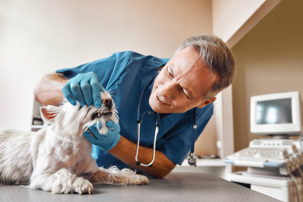 Best Emergency Treatment for Dental Infections or Abscesses in Rotan, TX